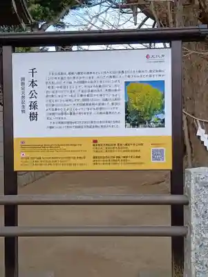 葛飾八幡宮(千葉県)