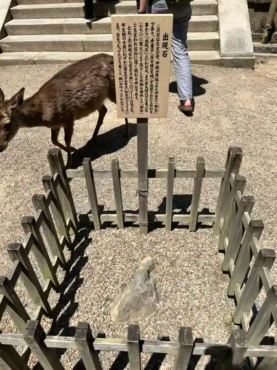 春日大社(奈良県)