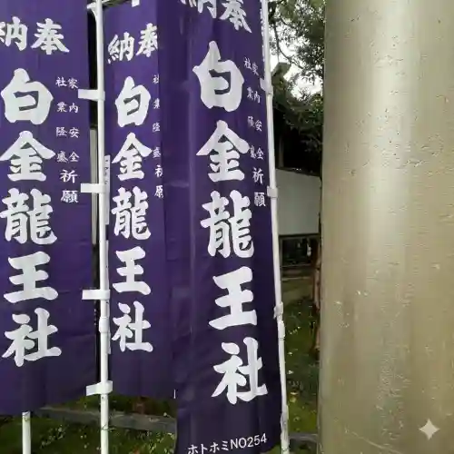 白金龍王社(愛知県)