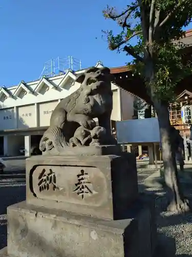 本郷氷川神社の狛犬