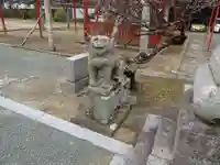 摩利支神社の狛犬