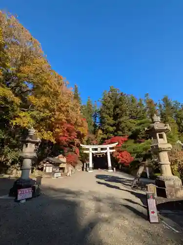 宝登山神社(埼玉県)