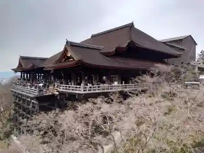 清水寺(京都府)