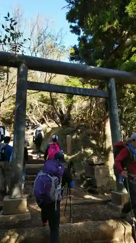 大山阿夫利神社本社の鳥居