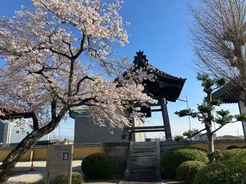 真宗大谷派本願寺別院（五村別院）(滋賀県)