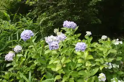 桑實寺(滋賀県)