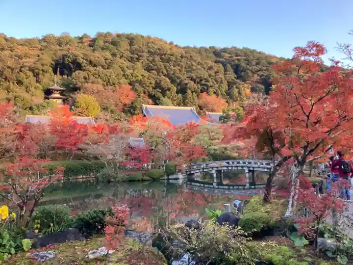禅林寺(永観堂)(京都府)