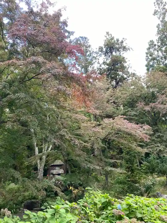 高照神社の庭園