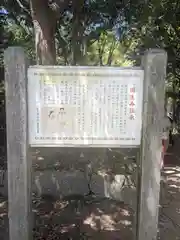 伊弉諾神宮(兵庫県)