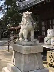 高砂神社の狛犬