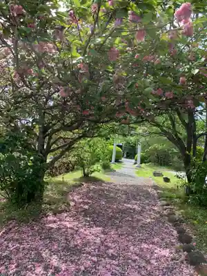 三日月神社の自然