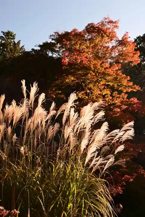詩仙堂(丈山寺)(京都府)
