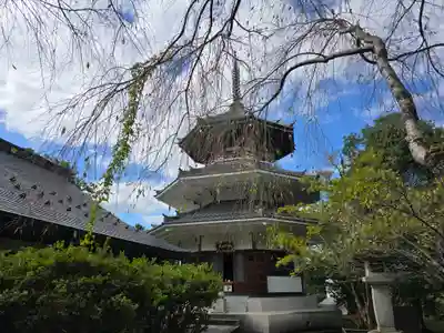 南朝妙法院(奈良県)