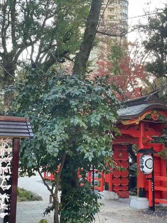 愛宕神社(東京都)