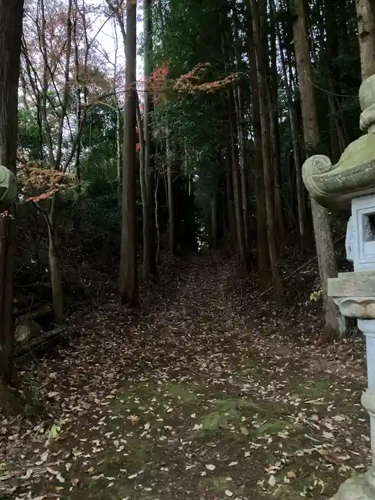川崎神社の自然