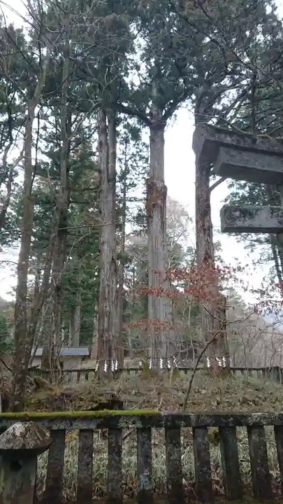 瀧尾神社(日光二荒山神社別宮)の自然