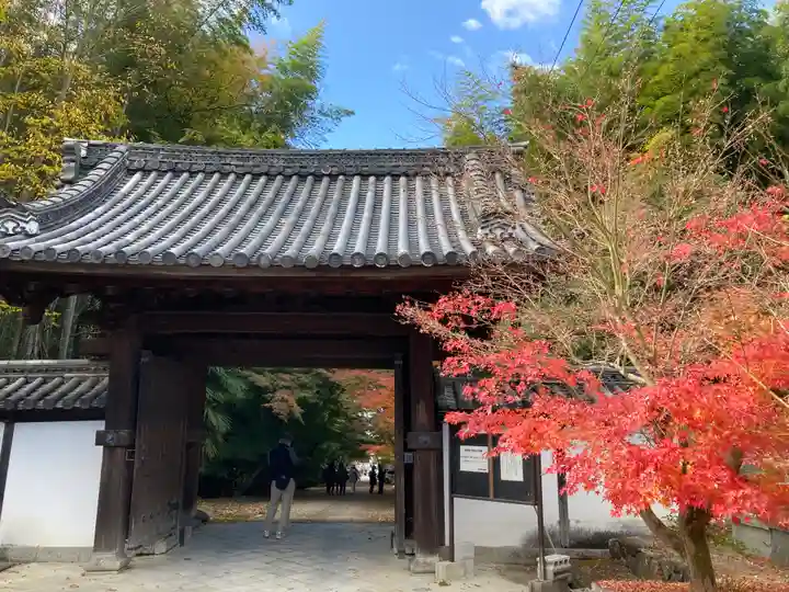 東福禅寺(東福寺)の山門・神門