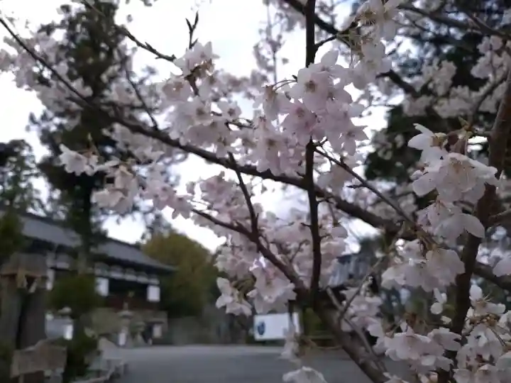 伊太祁曽神社の{uncategorized: "未分類", other: "その他", undefined: "問題あり", building: "その他建物", grave: "お墓", sacred_gate: "鳥居", guardian: "狛犬", statue: "像", buddha: "仏像", history: "歴史", nature: "自然", garden: "庭園", animal: "動物", pagoda: "塔", temizu: "手水舎", mountain_gate: "山門・神門", sanctuary: "本殿・本堂", subordinate: "末社・摂社", art: "芸術", scenery: "景色", jizo: "地蔵", ema: "絵馬", goshuin: "御朱印", omikuji: "おみくじ", items: "授与品その他", amulet: "お守り", goshuincho: "御朱印帳", eats: "食事", festival: "お祭り", votive_dance: "神楽", shichigosan: "七五三参", wedding: "結婚式", experience: "体験その他", initially: "初詣", around: "周辺", anti_infection: "感染症対策"}