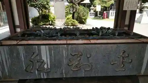 川崎大師（平間寺）(神奈川県)