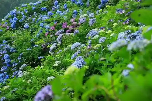 済渡寺の景色