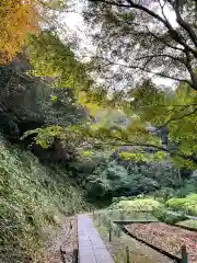 明月院(神奈川県)