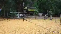 若狭姫神社（若狭彦神社下社）の本殿