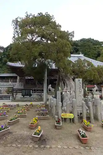 河上神社のその他建物