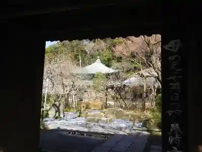 瑞泉寺の山門・神門