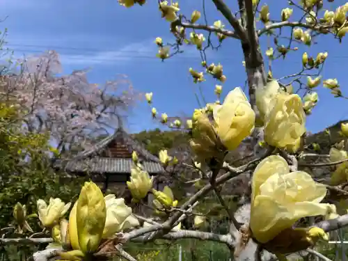惠心院(京都府)