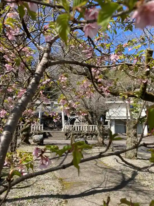 天鷹神社(岐阜県)
