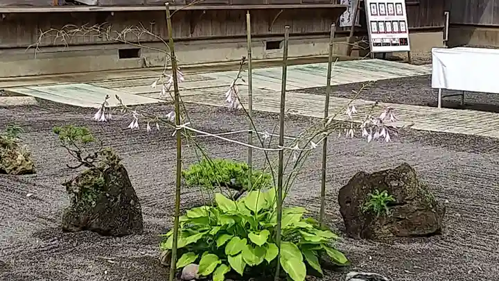 常陸第三宮 吉田神社の自然