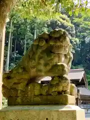 金刀比羅神社の狛犬