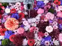 札幌諏訪神社の手水舎