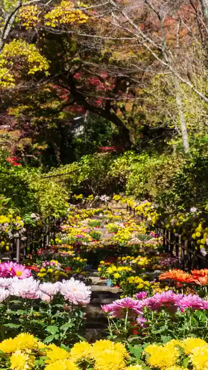 長谷寺(奈良県)
