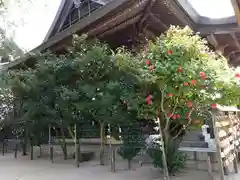 水天宮(福岡県)