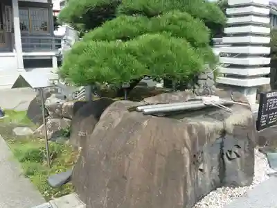 万福寺の手水舎