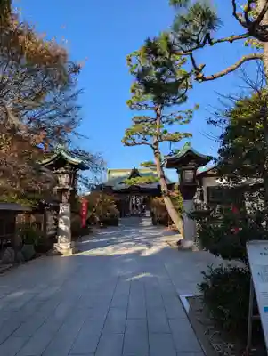 桜神宮(東京都)