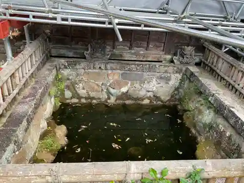 長谷寺(神奈川県)