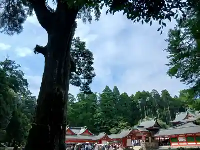 霧島神宮(鹿児島県)