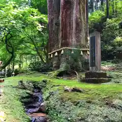 御岩神社の自然