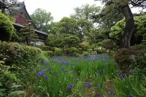 無量寿寺の建物その他