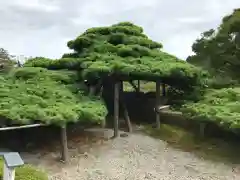 善峯寺の庭園