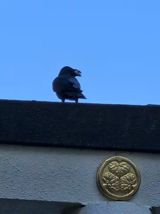 子安神社(東京都)