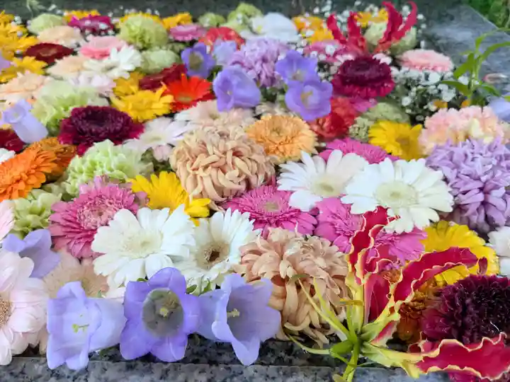 金蛇水神社(宮城県)