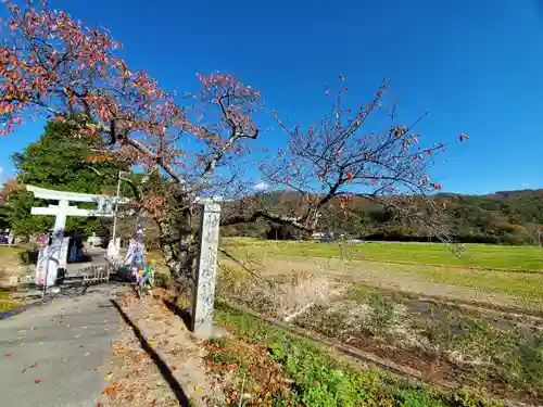 高司神社〜むすびの神の鎮まる社〜の鳥居