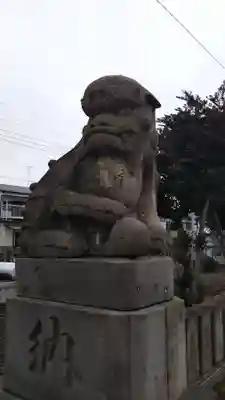 鎌ヶ谷八幡神社の狛犬