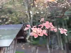 南湖神社の自然