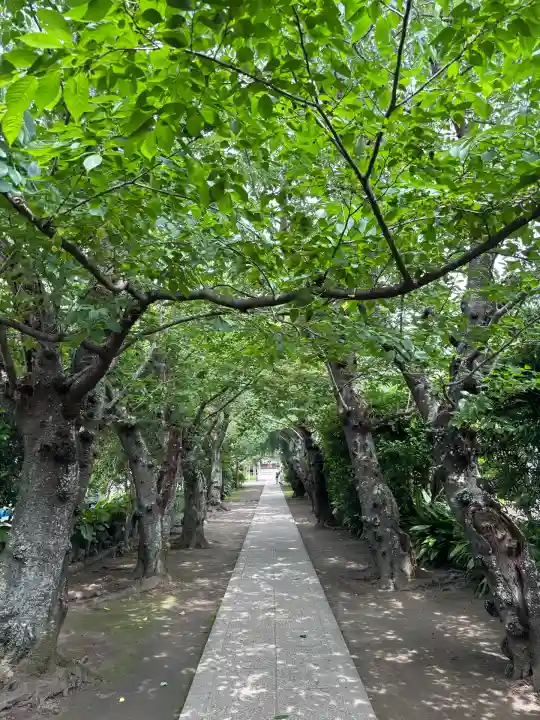 極楽寺(霊鷲山感應院極楽律寺)(神奈川県)