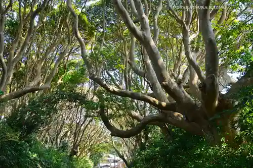 酒列磯前神社(茨城県)