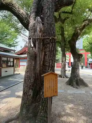 御霊神社(大阪府)